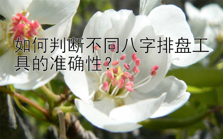 如何判断不同八字排盘工具的准确性？