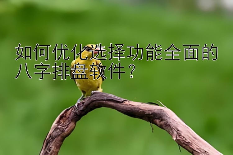 如何优化选择功能全面的八字排盘软件？