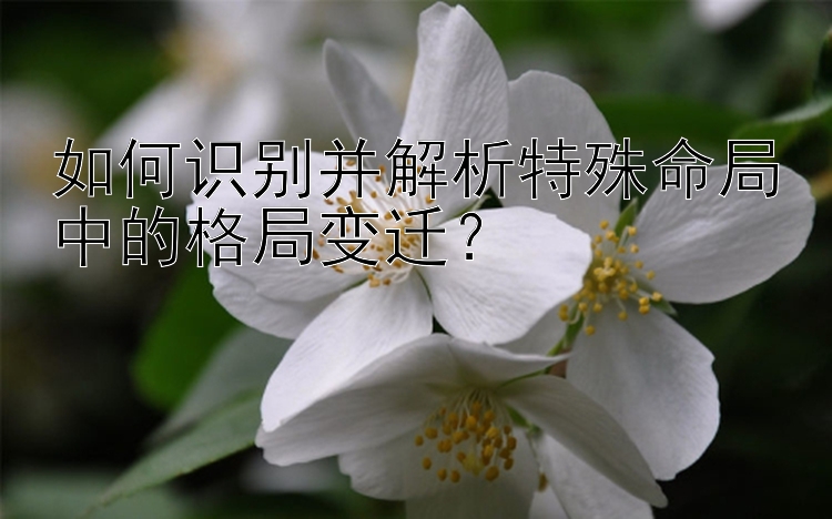 如何识别并解析特殊命局中的格局变迁？