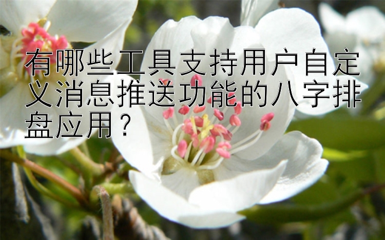 有哪些工具支持用户自定义消息推送功能的八字排盘应用？