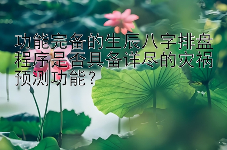 功能完备的生辰八字排盘程序是否具备详尽的灾祸预测功能？