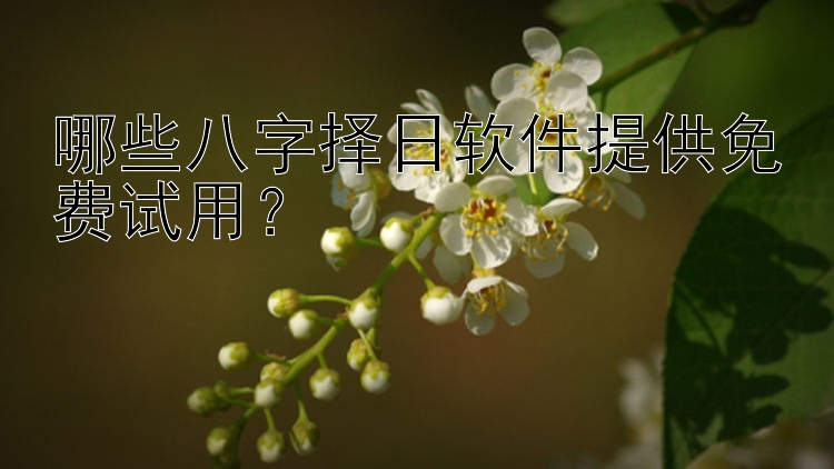 哪些八字择日软件提供免费试用？