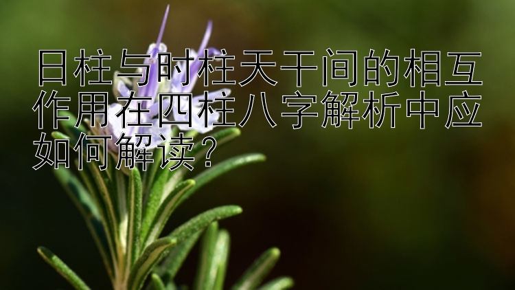 日柱与时柱天干间的相互作用在四柱八字解析中应如何解读？