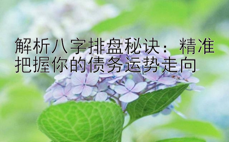 解析八字排盘秘诀：精准把握你的债务运势走向