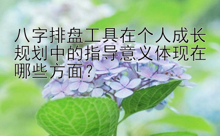 八字排盘工具在个人成长规划中的指导意义体现在哪些方面？