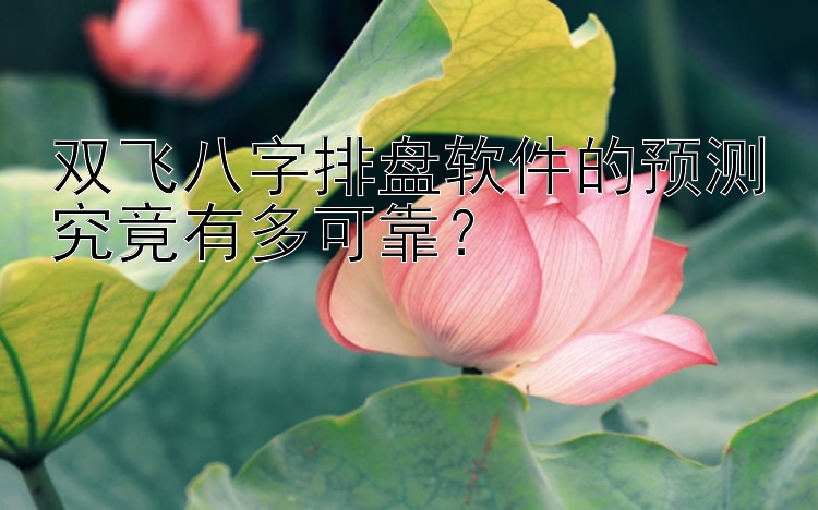 双飞八字排盘软件的预测究竟有多可靠？