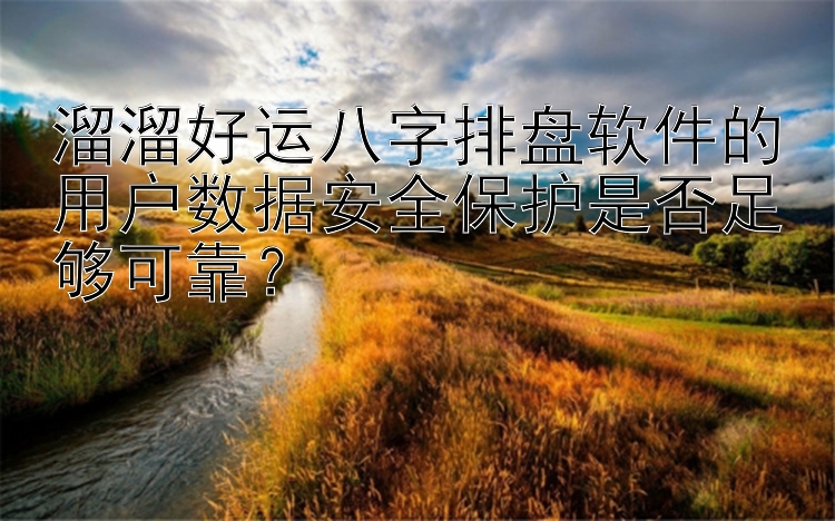 溜溜好运八字排盘软件的用户数据安全保护是否足够可靠？