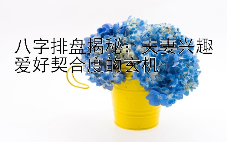 八字排盘揭秘：夫妻兴趣爱好契合度的玄机