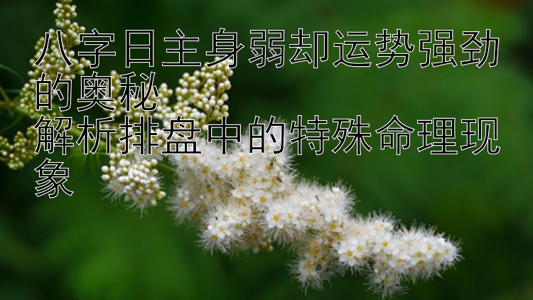 八字日主身弱却运势强劲的奥秘  
解析排盘中的特殊命理现象