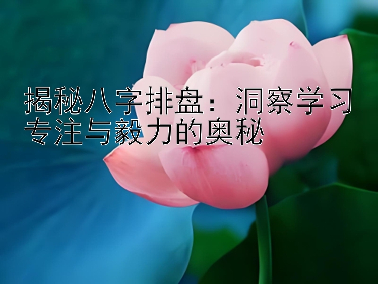 揭秘八字排盘：洞察学习专注与毅力的奥秘