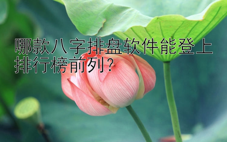 哪款八字排盘软件能登上排行榜前列？