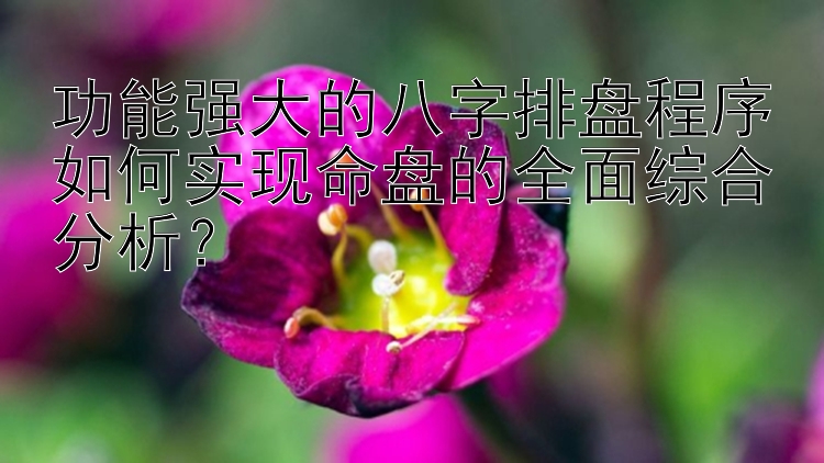 功能强大的八字排盘程序如何实现命盘的全面综合分析？