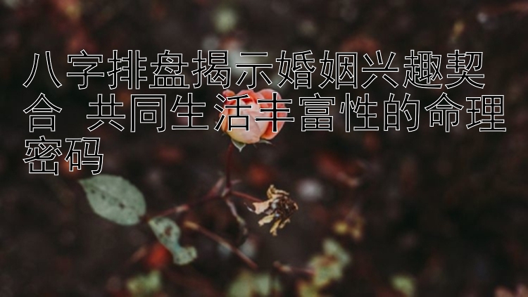 八字排盘揭示婚姻兴趣契合 共同生活丰富性的命理密码