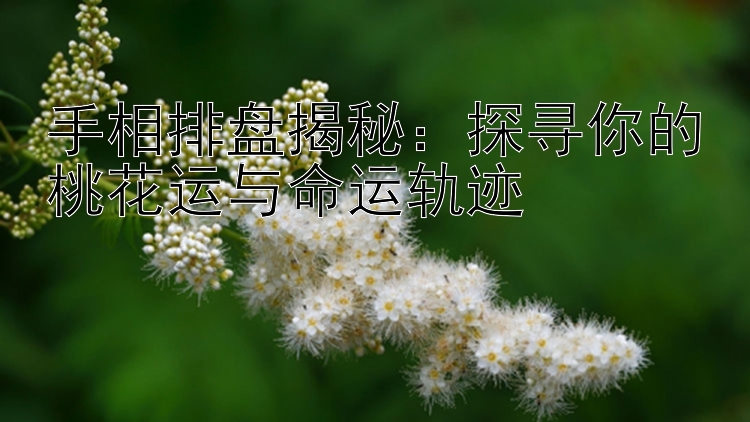 手相排盘揭秘：探寻你的桃花运与命运轨迹