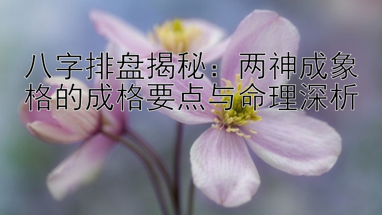 八字排盘揭秘：两神成象格的成格要点与命理深析