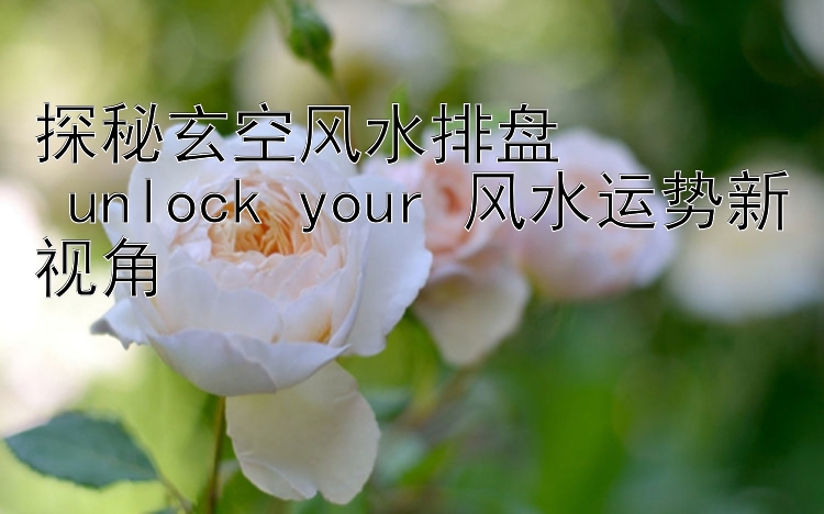 探秘玄空风水排盘  
 unlock your 风水运势新视角