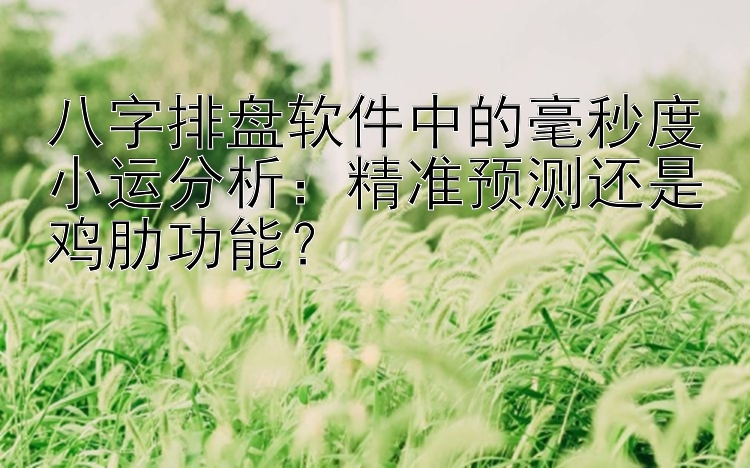 八字排盘软件中的毫秒度小运分析：精准预测还是鸡肋功能？