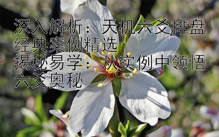 深入解析：天机六爻排盘经典案例精选  
揭秘易学：从实例中领悟六爻奥秘